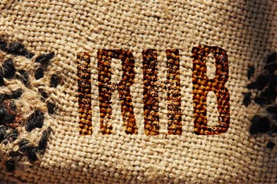 IRHB-Logo